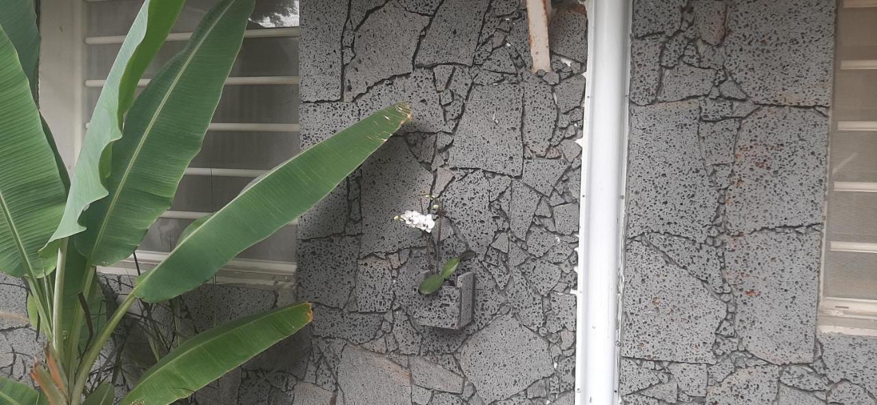 Les Anones Apartment Saint-Gilles-les Bains Ngoại thất bức ảnh